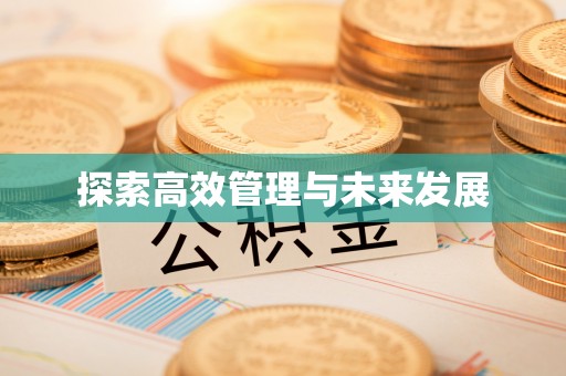 墨玉探索高效管理与未来发展