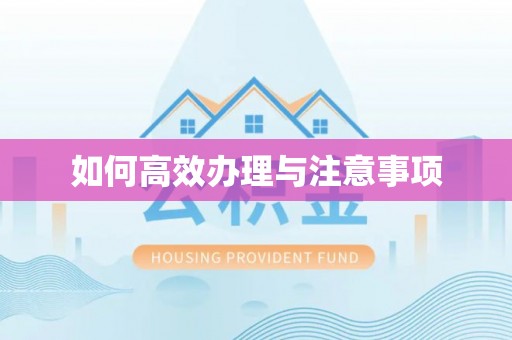 墨玉如何高效办理与注意事项