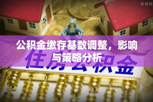 墨玉公积金缴存基数调整，影响与策略分析