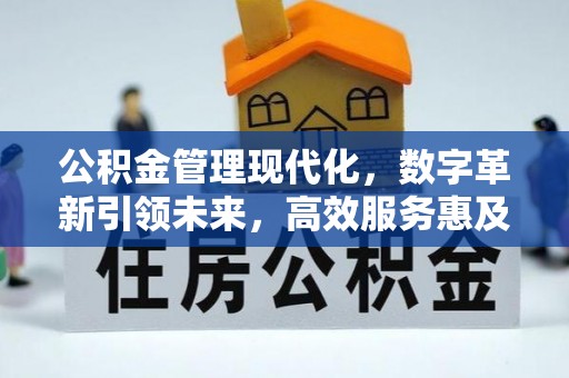 墨玉公积金管理现代化，数字革新引领未来，高效服务惠及民生