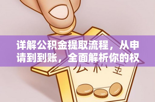 墨玉详解公积金提取流程，从申请到到账，全面解析你的权益与操作步骤