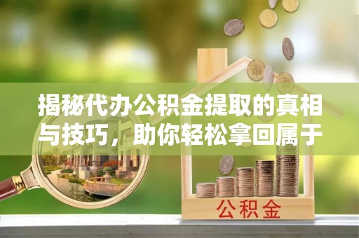 墨玉揭秘代办公积金提取的真相与技巧，助你轻松拿回属于你的钱