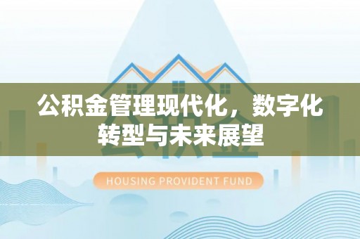 墨玉公积金管理现代化，数字化转型与未来展望