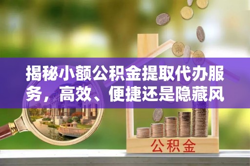 墨玉揭秘小额公积金提取代办服务，高效、便捷还是隐藏风险？