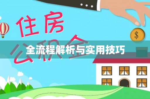 墨玉全流程解析与实用技巧