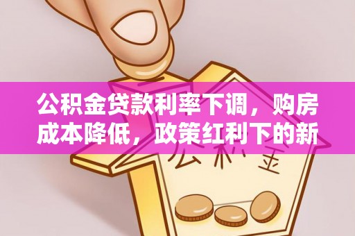墨玉公积金贷款利率下调，购房成本降低，政策红利下的新机遇