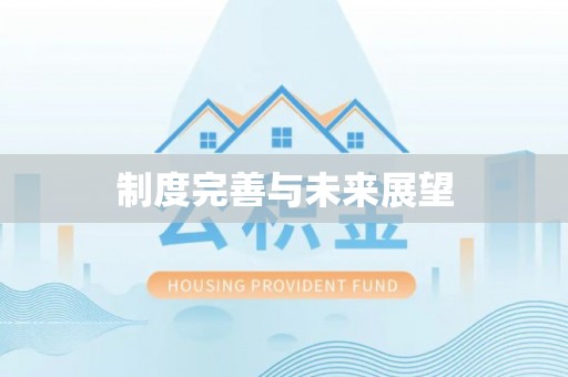 墨玉制度完善与未来展望