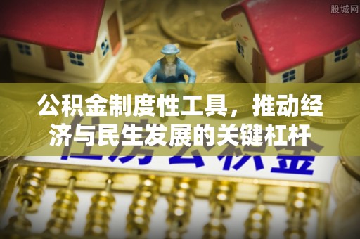 墨玉公积金制度性工具，推动经济与民生发展的关键杠杆