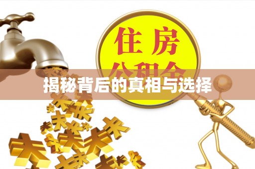 墨玉揭秘背后的真相与选择