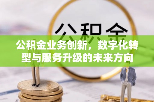 墨玉公积金业务创新，数字化转型与服务升级的未来方向