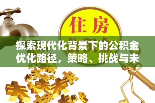 墨玉探索现代化背景下的公积金优化路径，策略、挑战与未来展望