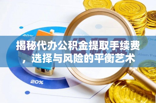 墨玉揭秘代办公积金提取手续费，选择与风险的平衡艺术