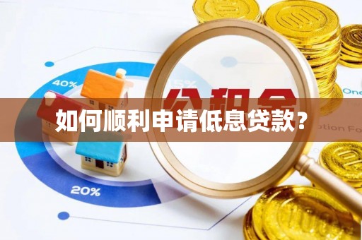 墨玉如何顺利申请低息贷款？