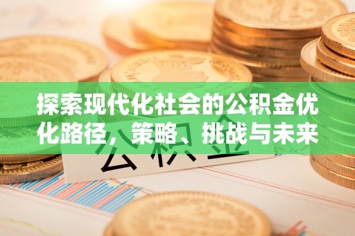 墨玉探索现代化社会的公积金优化路径，策略、挑战与未来展望