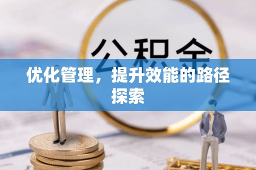 墨玉优化管理，提升效能的路径探索
