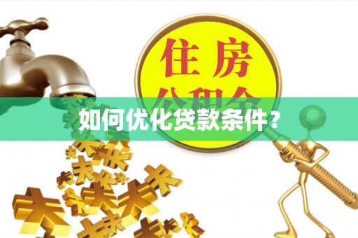 墨玉如何优化贷款条件？