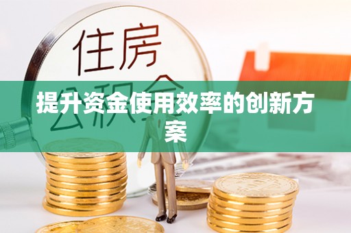 墨玉提升资金使用效率的创新方案