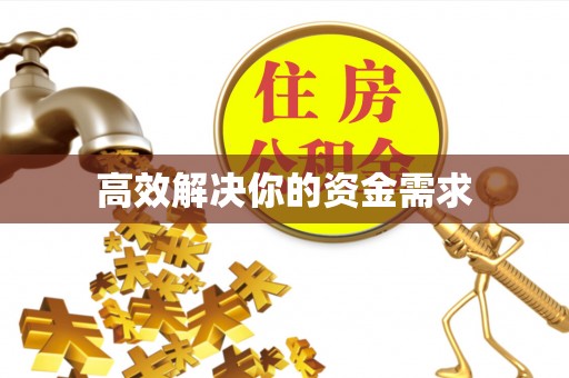 墨玉高效解决你的资金需求