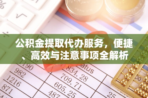 墨玉公积金提取代办服务，便捷、高效与注意事项全解析