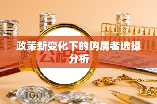 墨玉政策新变化下的购房者选择分析