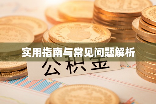 墨玉实用指南与常见问题解析