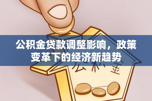 墨玉公积金贷款调整影响，政策变革下的经济新趋势