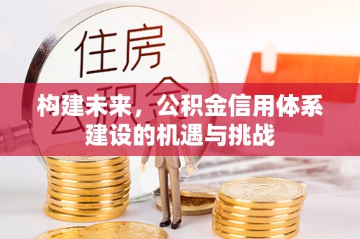 墨玉构建未来，公积金信用体系建设的机遇与挑战