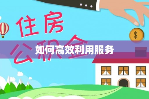 墨玉如何高效利用服务