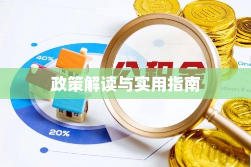 墨玉政策解读与实用指南