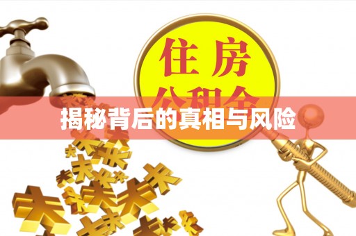 墨玉揭秘背后的真相与风险