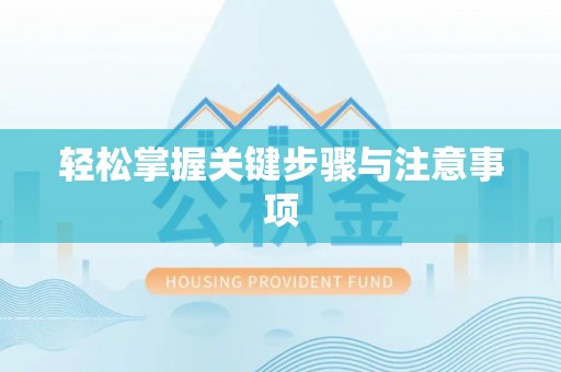 墨玉轻松掌握关键步骤与注意事项