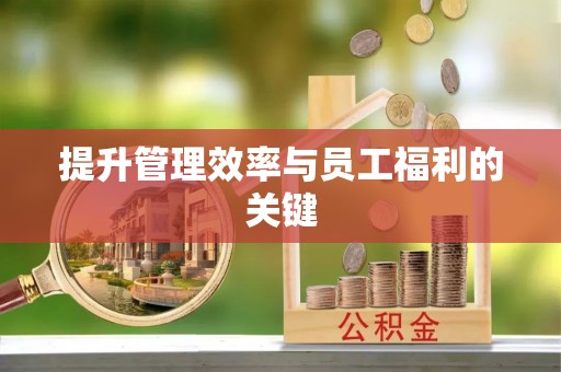墨玉提升管理效率与员工福利的关键