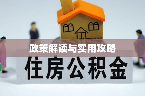 墨玉政策解读与实用攻略