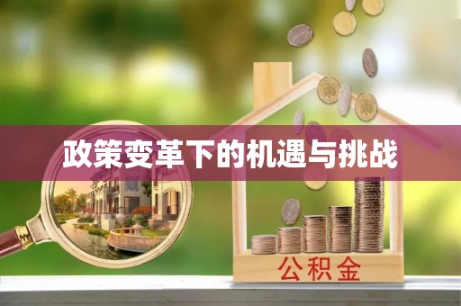 墨玉政策变革下的机遇与挑战