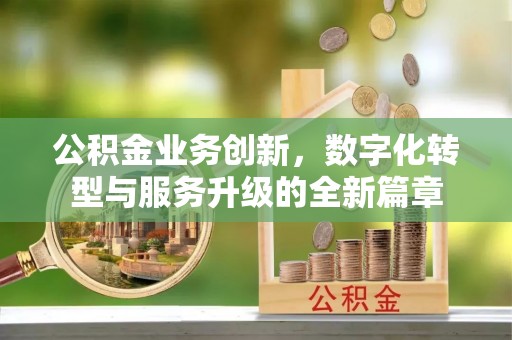 墨玉公积金业务创新，数字化转型与服务升级的全新篇章