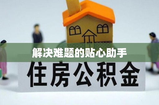 墨玉解决难题的贴心助手