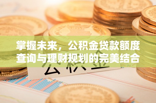 墨玉掌握未来，公积金贷款额度查询与理财规划的完美结合