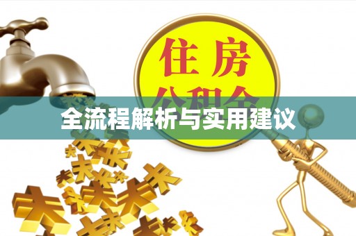 墨玉全流程解析与实用建议