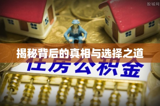 墨玉揭秘背后的真相与选择之道