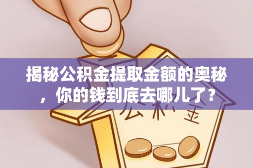 墨玉揭秘公积金提取金额的奥秘，你的钱到底去哪儿了？