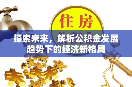 墨玉探索未来，解析公积金发展趋势下的经济新格局
