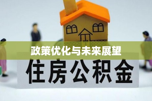 墨玉政策优化与未来展望
