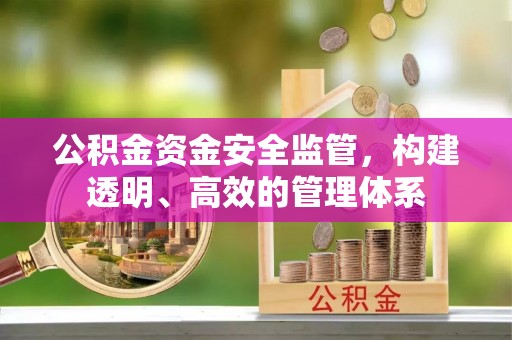 墨玉公积金资金安全监管，构建透明、高效的管理体系