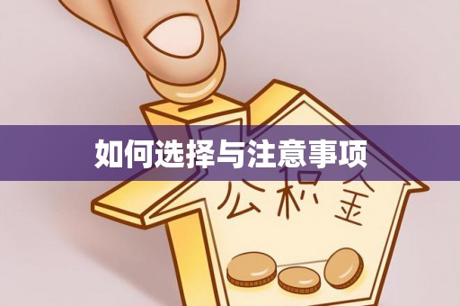 墨玉如何选择与注意事项