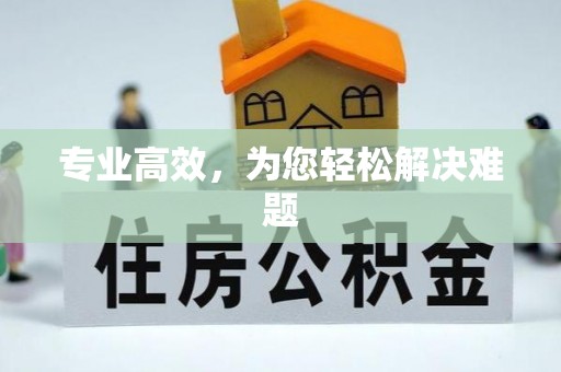 墨玉专业高效，为您轻松解决难题
