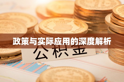 墨玉政策与实际应用的深度解析