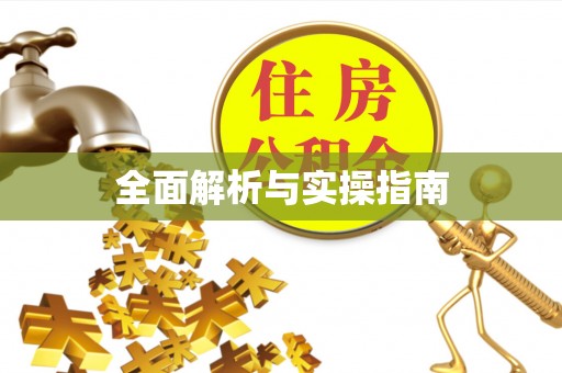 墨玉全面解析与实操指南