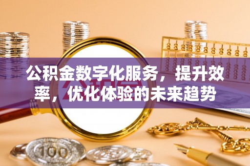 墨玉公积金数字化服务，提升效率，优化体验的未来趋势
