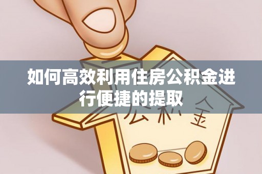 墨玉如何高效利用住房公积金进行便捷的提取