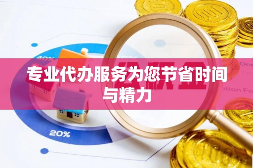 墨玉专业代办服务为您节省时间与精力